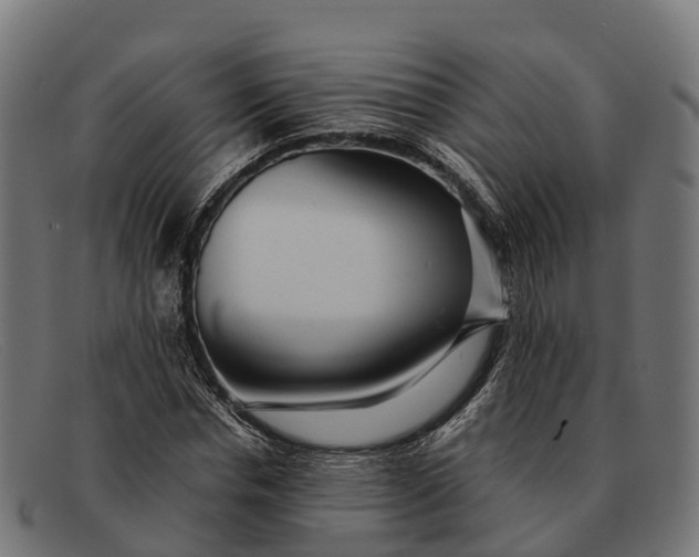 X0000091680826200709131546