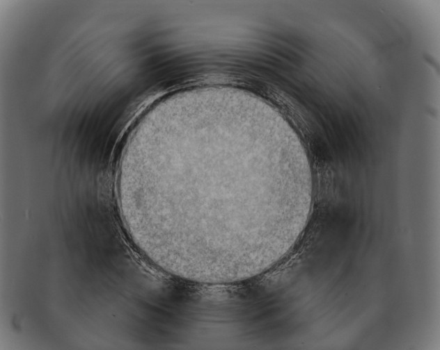 X0000091680828200709131546