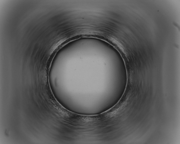 X0000091680829200709131546