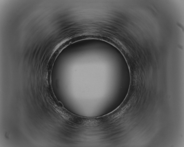 X0000091680830200709131546