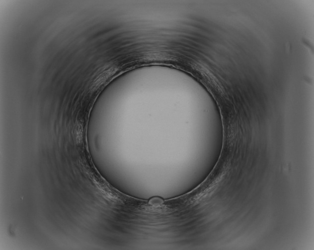 X0000091680833200709131546