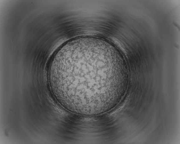 X0000091680835200709131546