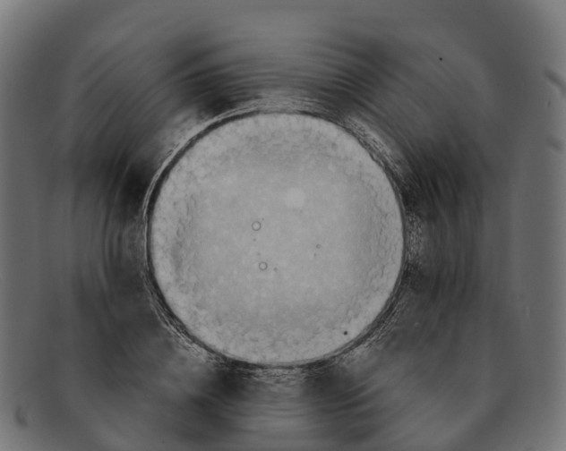 X0000091680836200709131546