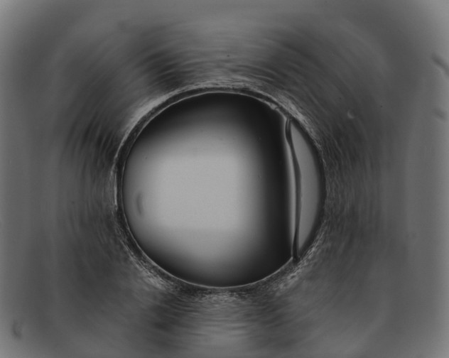 X0000091680838200709131546