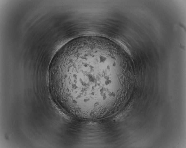 X0000091680839200709131546