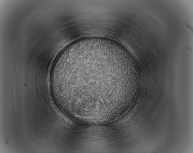 X0000091680840200709131546