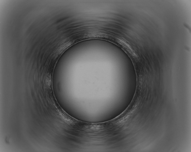 X0000091680841200709131546