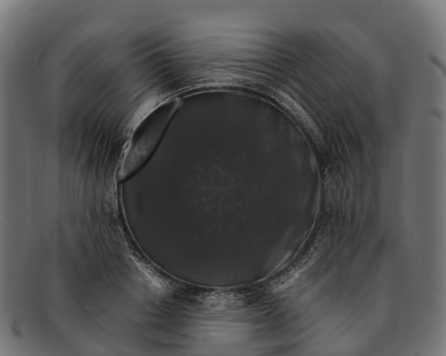 X0000091680842200709131546