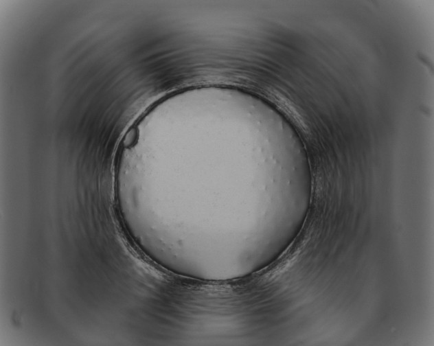 X0000091680844200709131546