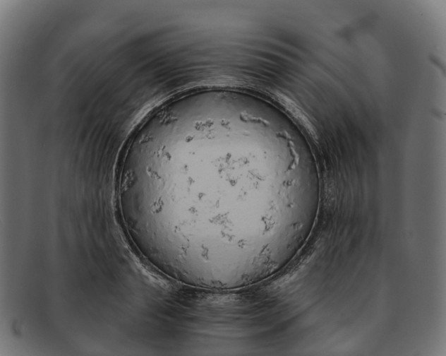 X0000091680845200709131546