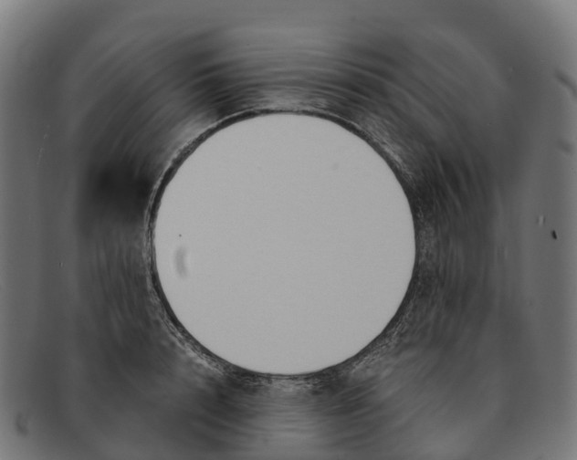 X0000091680848200709131546