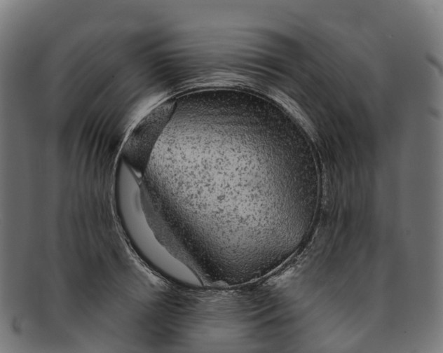 X0000091680850200709131546