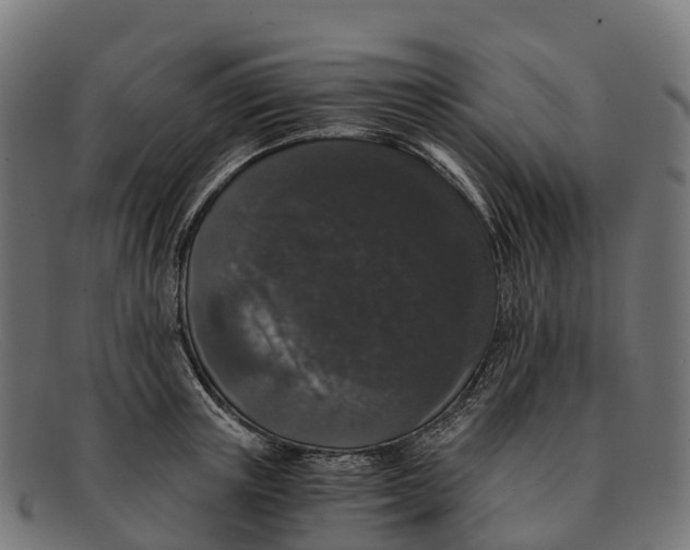 X0000091680851200709131546