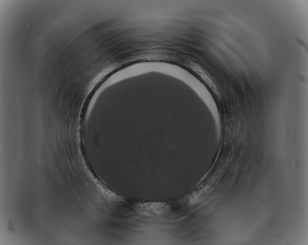 X0000091680853200709131546