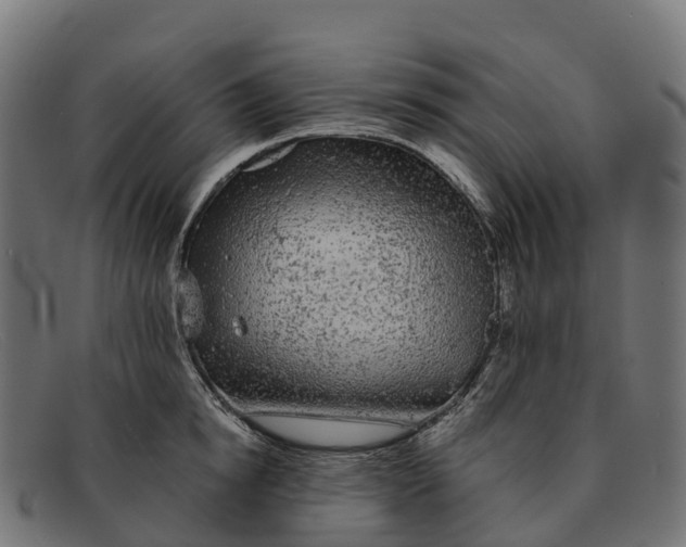 X0000091680854200709131546