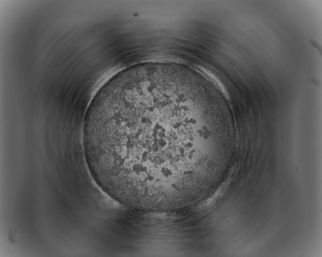 X0000091680855200709131546