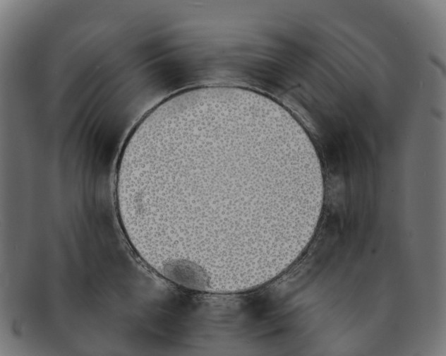 X0000091680856200709131546