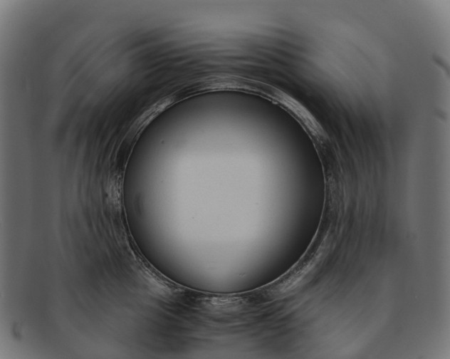 X0000091680857200709131546