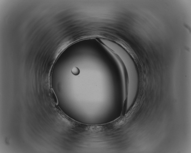 X0000091680858200709131546