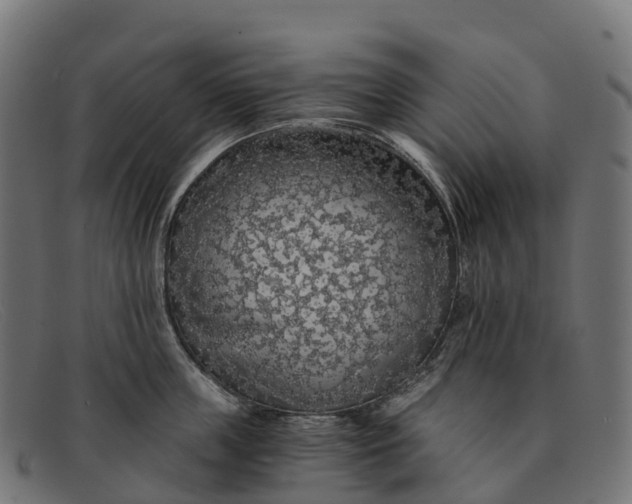 X0000091680859200709131546