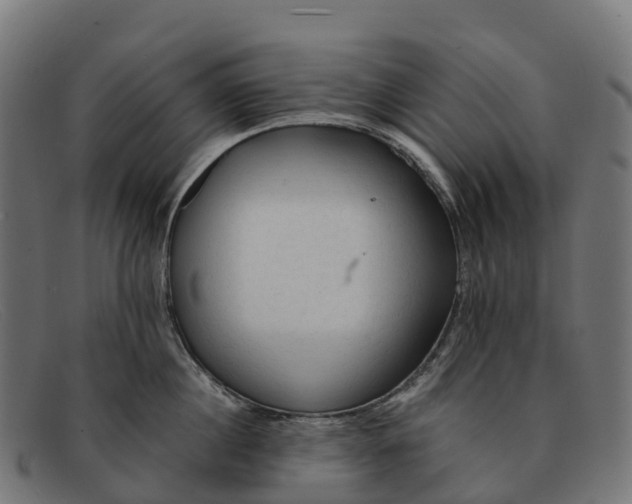 X0000091680860200709131546