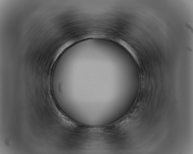 X0000091680861200709131546