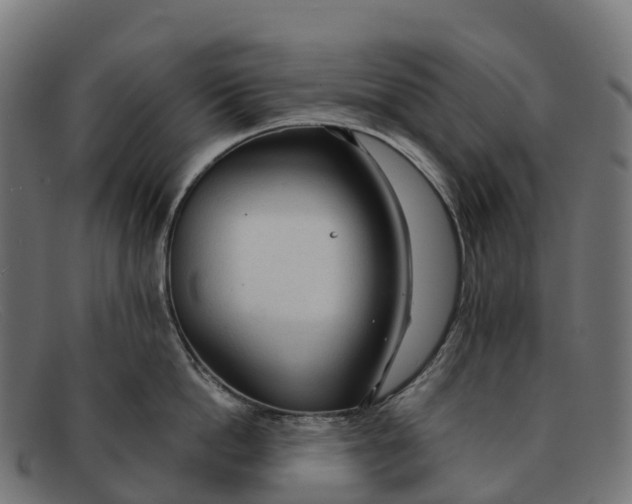 X0000091680862200709131546