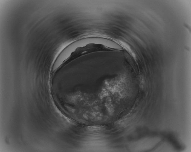 X0000091680863200709131546