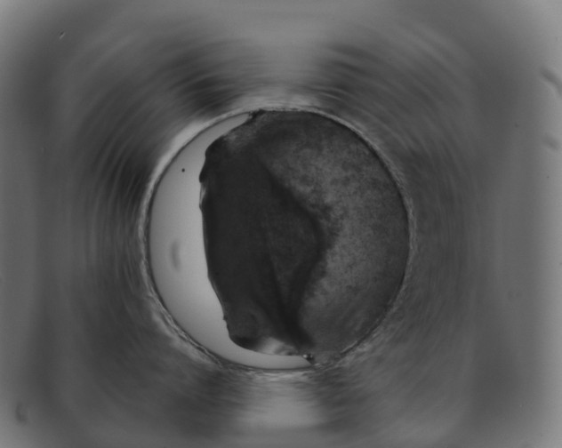 X0000091680864200709131546