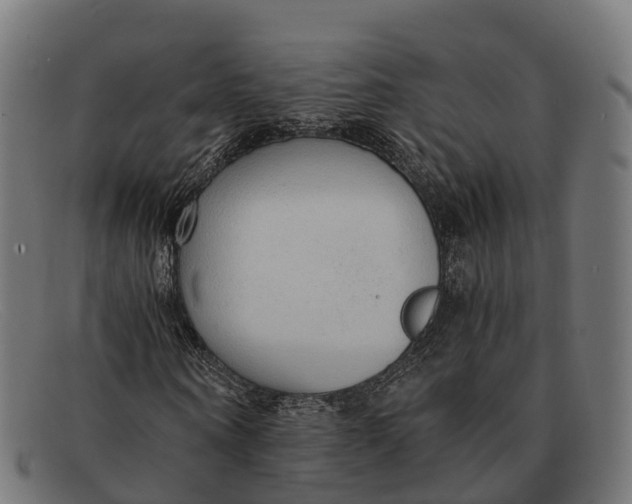 X0000091680866200709131546