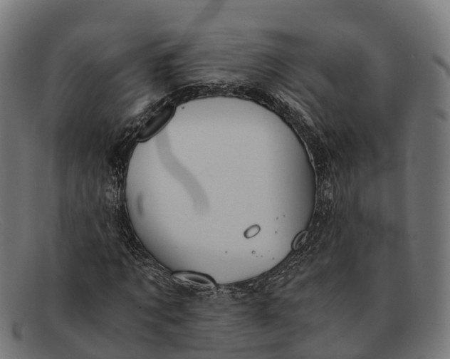 X0000091680869200709131546