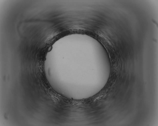 X0000091680870200709131545