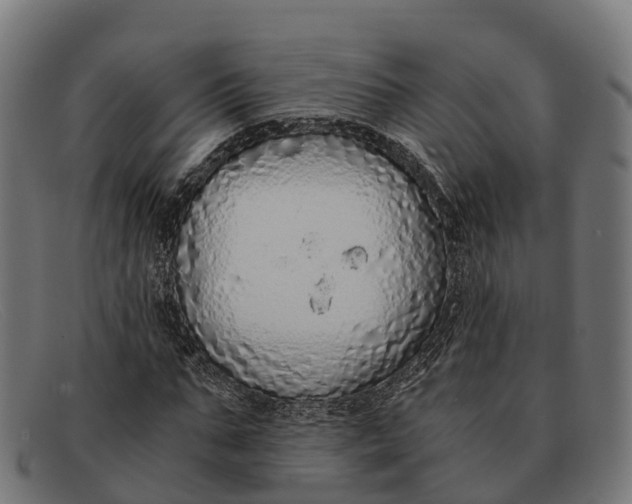 X0000091680871200709131545