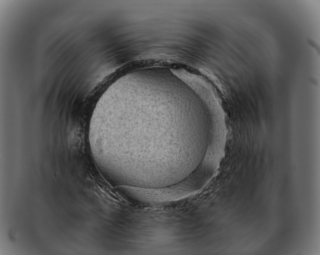 X0000091680872200709131545