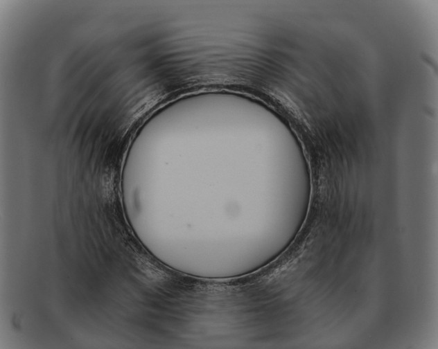 X0000091680873200709131545