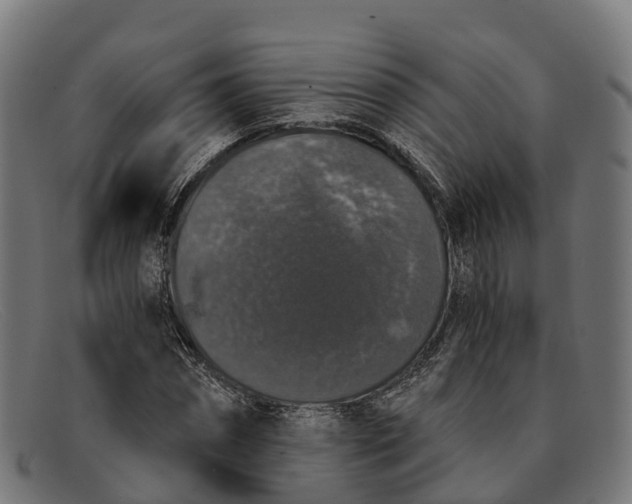 X0000091680874200709131545