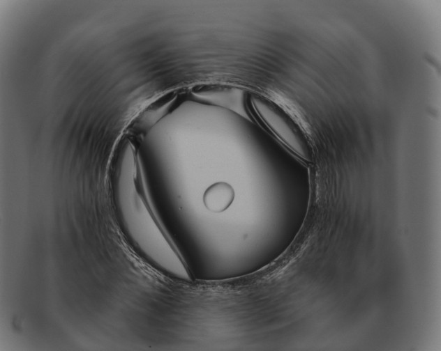 X0000091680876200709131545