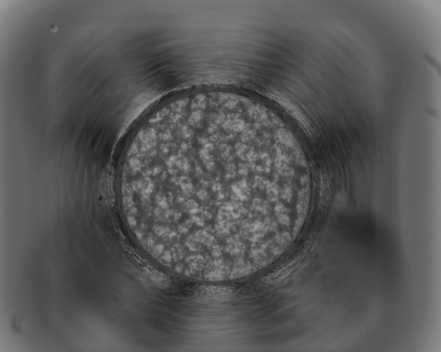 X0000091680878200709131545