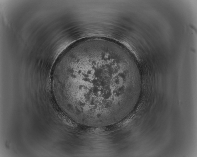 X0000091680879200709131545