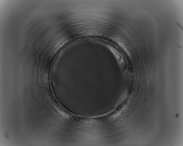 X0000091680881200709131545