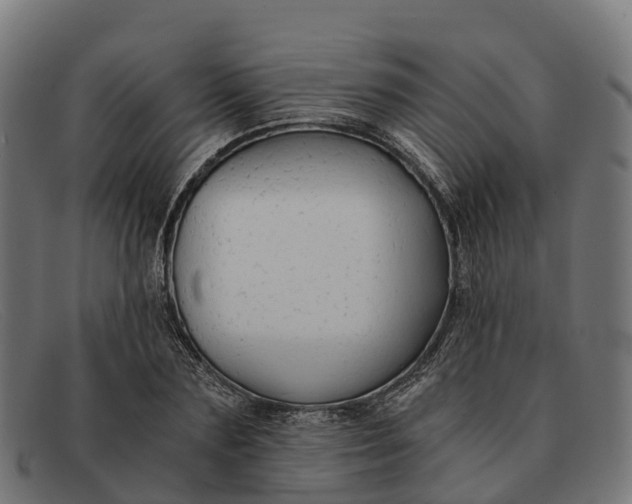 X0000091680883200709131545