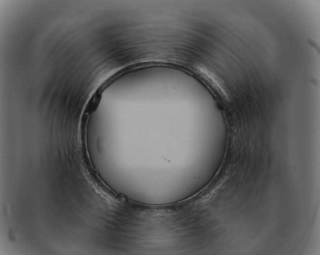 X0000091680884200709131545