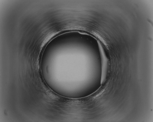 X0000091680885200709131545