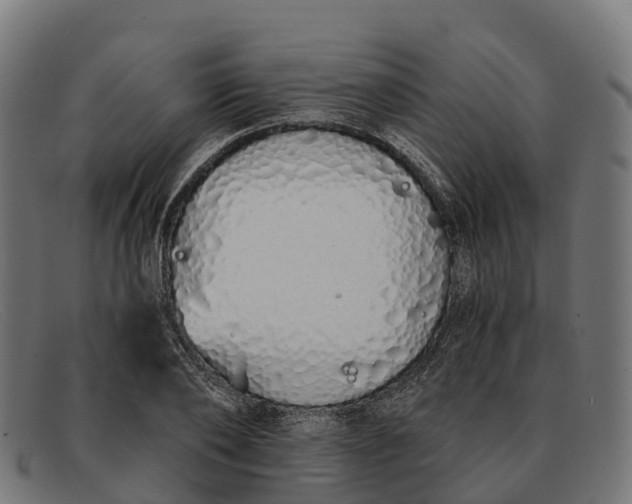 X0000091680886200709131545