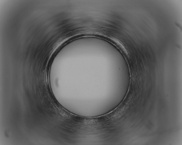 X0000091680887200709131545