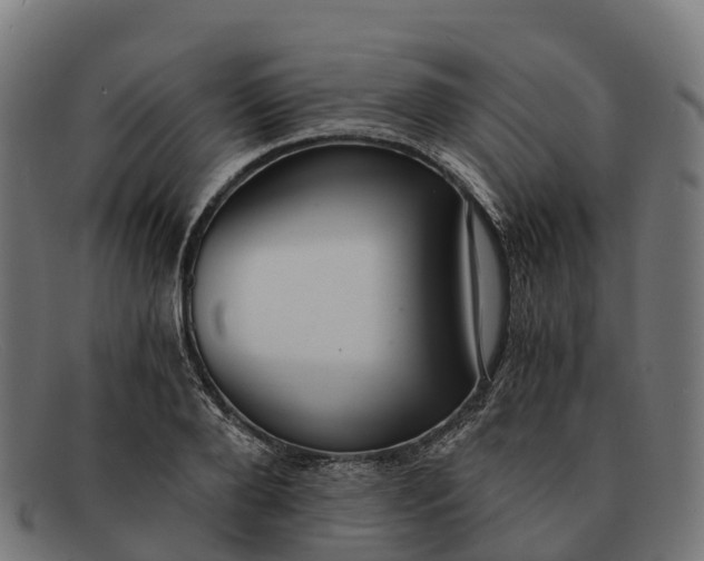 X0000091680888200709131545