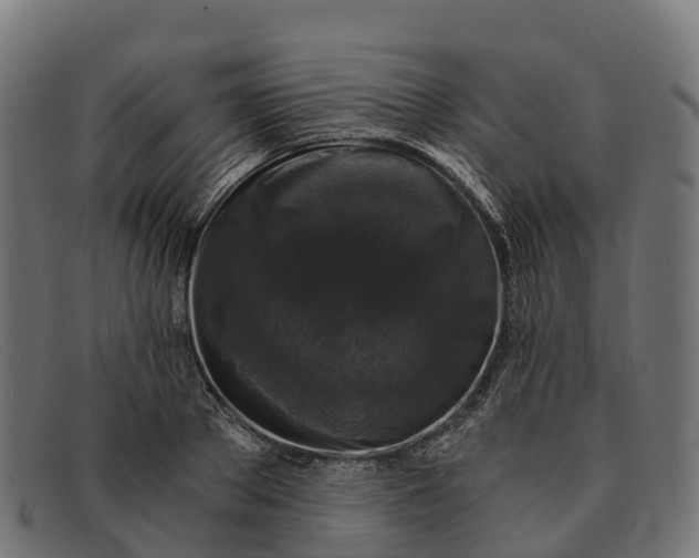 X0000091680889200709131545