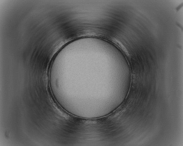 X0000091680890200709131545