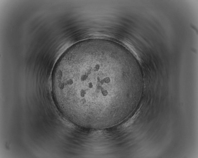 X0000091680891200709131545