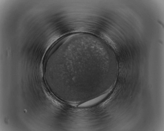 X0000091680892200709131545